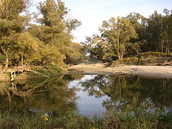 An oxbow lake surrounded by trees.