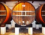 Barrels for maturing the wine