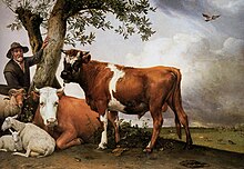 Paulus Potter, The Bull (1647); 3.4 metres wide. An unusually monumental animal painting that challenges the hierarchy of genres by its size; in the 19th century such works would become common. Paulus Potter - Young Bull.JPG