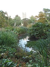 Photographie de l'étang du jardin botanique