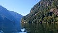 A boat travelling in calm waters