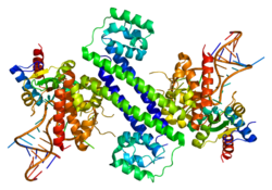 PDB прорисовано по 2ozb.