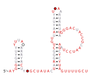 RT-8 Secondary structure taken from the Rfam database. Family RF03029