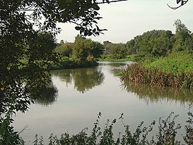 River Stort - geograph.org.uk - 258527.jpg