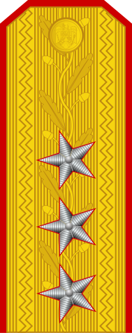 File:Romania-Army-OF-8.svg