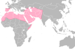 Miniatura para Conquista musulmana del Magreb