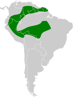 Distribución geográfica del picolezna picofino.