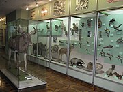 Зала тваринного світу Черкаської області