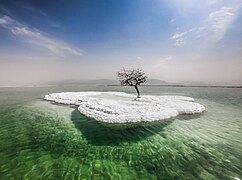 Installation artistique sur la mer Morte pour montrer que ce site bénéficie d'une grande activité touristique et d'un bon potentiel relaxant. Septembre 2018.