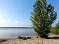 Erkemederstrand aan het Nuldernauw