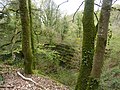 Bois de Mezle : ancienne carrière d'ardoises, haut de l'escalier de l'un des puits d'exploitation.