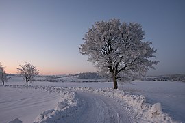 Februar 2017