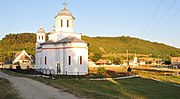 View of Bălcaciu