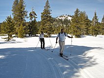Langlaufers in het Bear Valley-wintersportgebied