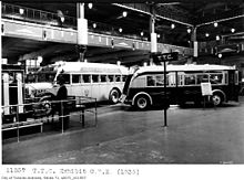 Two buses used by the TTC, 1936. The left bus was used by the agency's intercity bus line, whereas the right was used for local bus routes. CNE Automotive Building TTC Exhibit 1936.jpg