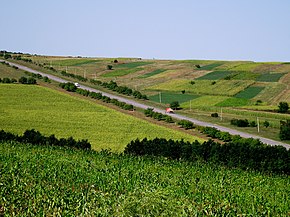 Panoramă de lângă Cinișeuți