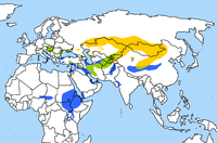 Range of F. cherrug