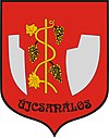 Huy hiệu của Újcsanálos