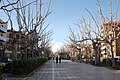 Passeig Mossèn Cinto Verdaguer (Igualada)