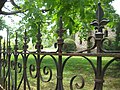 Iron fence at the entrance
