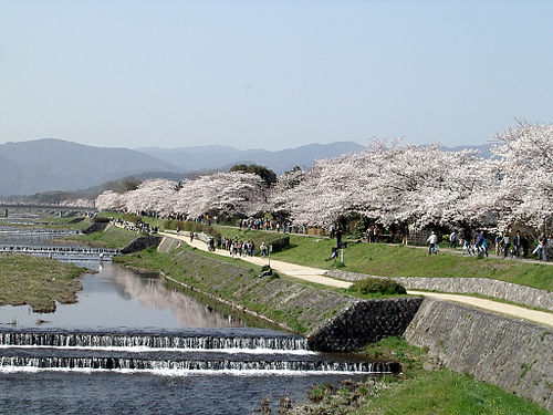 Kamo River things to do in Kyoto