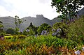 Kirstenbosch, Botanischer Garten in Kapstadt (2017)