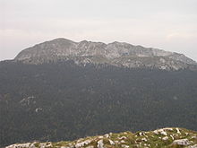 Crête montagneuse dépassant de la limite des arbres.