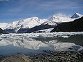 Laguna Oneli v narodnem parku Los Glaciares, Patagonja