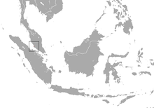 Oblast netopýra malajského Roundleaf.png