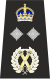 Metropolitan Deputy Commisioner Insignia (Tudor Crown).svg