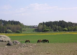 Norrby gårds hästar och kulturlandskap