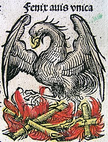 A depiction of a Phoenix, a figure of revival Nuremberg chronicles - Phoenix (CIIIIv).jpg