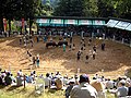 小千谷闘牛場（新潟県小千谷市）