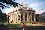 Miniatura para Real jardín botánico de Edimburgo