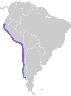Distribución del pelícano peruano