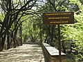 Pro Nature motos in Nature Trail