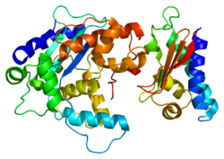 Белок TOB1 PDB 2d5r.png