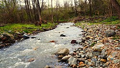 Реката при село Радотина