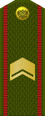 Россия-Армия-OR-8-1994-field.svg