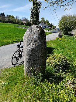 Image illustrative de l’article Statue-menhir de Guior-Haut