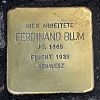 Stolperstein Paul-Ehrlich-Str. 42 Blum Ferdinand