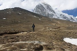 Surang pandaki malinteh jalua Kala Patthar