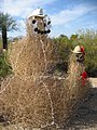 Desert "snowmen" in Tohono Chul Park, Tucson, Arizona, made out of tumbleweeds