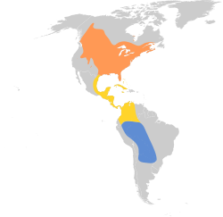 Distribución geográfica del tirano oriental.