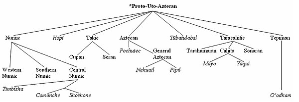 Uto-Aztecan Family Tree.jpg