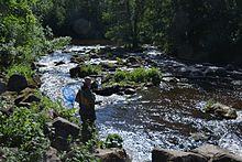 A fisherman on the rapids in Nukari, Nurmijarvi, Finland Vanda a Nukariforsen.jpg