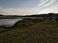 Viljandi järve rannaäärne jaanitule ajal
