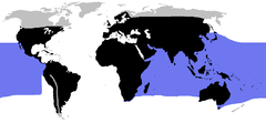 Em azul, o habitat das cobras marinhas. Em preto, o das cobras terrestres.
