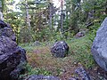 The York River Tactite Zone, a geologically significant feature of the park.