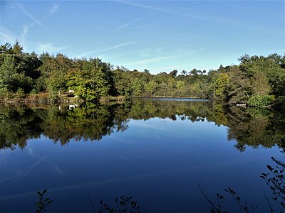 Weiher Étang des Chasseries